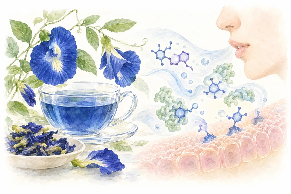 青いお茶の渋みを、唾液と細胞との関係から考えるの研究テーマを表す挿絵